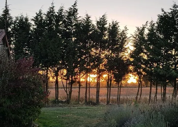 Le Magnoux Peaceful Retreat Bed & Breakfast